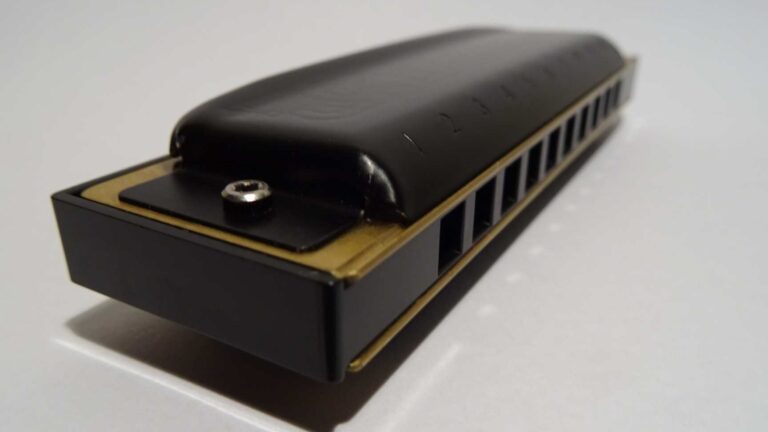 Le monde fascinant de l’harmonica diatonique