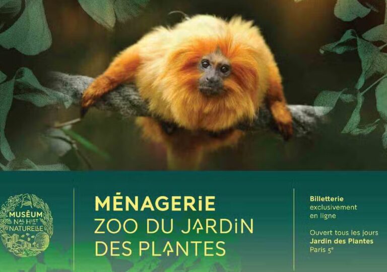 Visitez la ménagerie du Jardin des Plantes : billets et conseils pour une journée unique