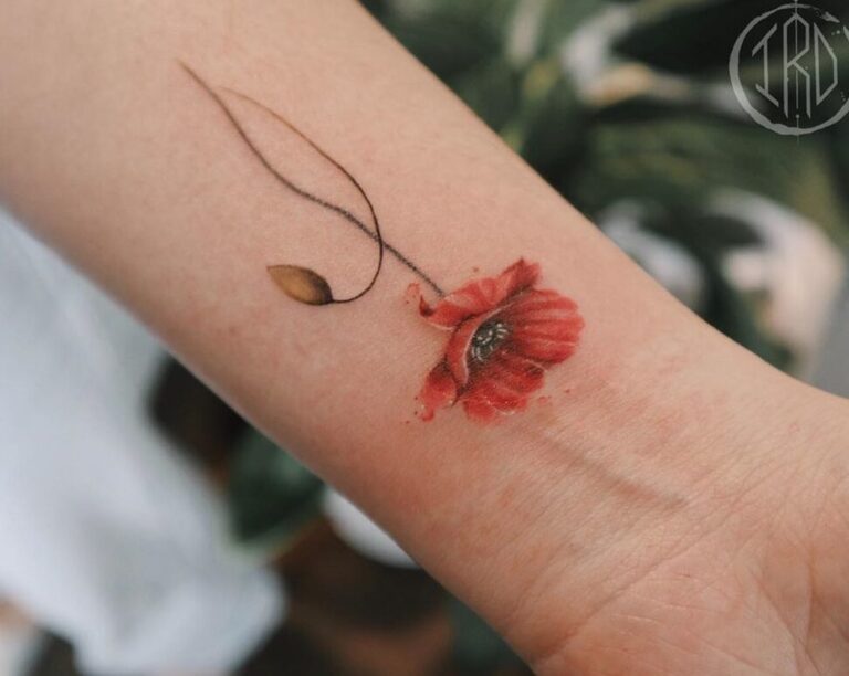 Le tatouage de coquelicots : quelle signification se cache derrière cette fleur populaire ?