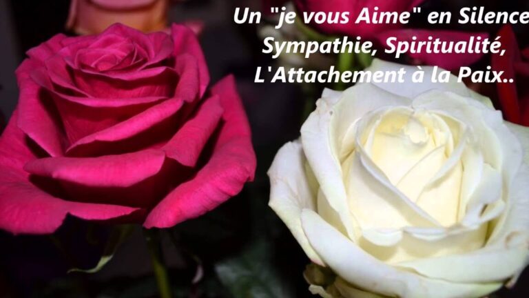 signification des roses blanches dans la musique et leur symbolisme culturel