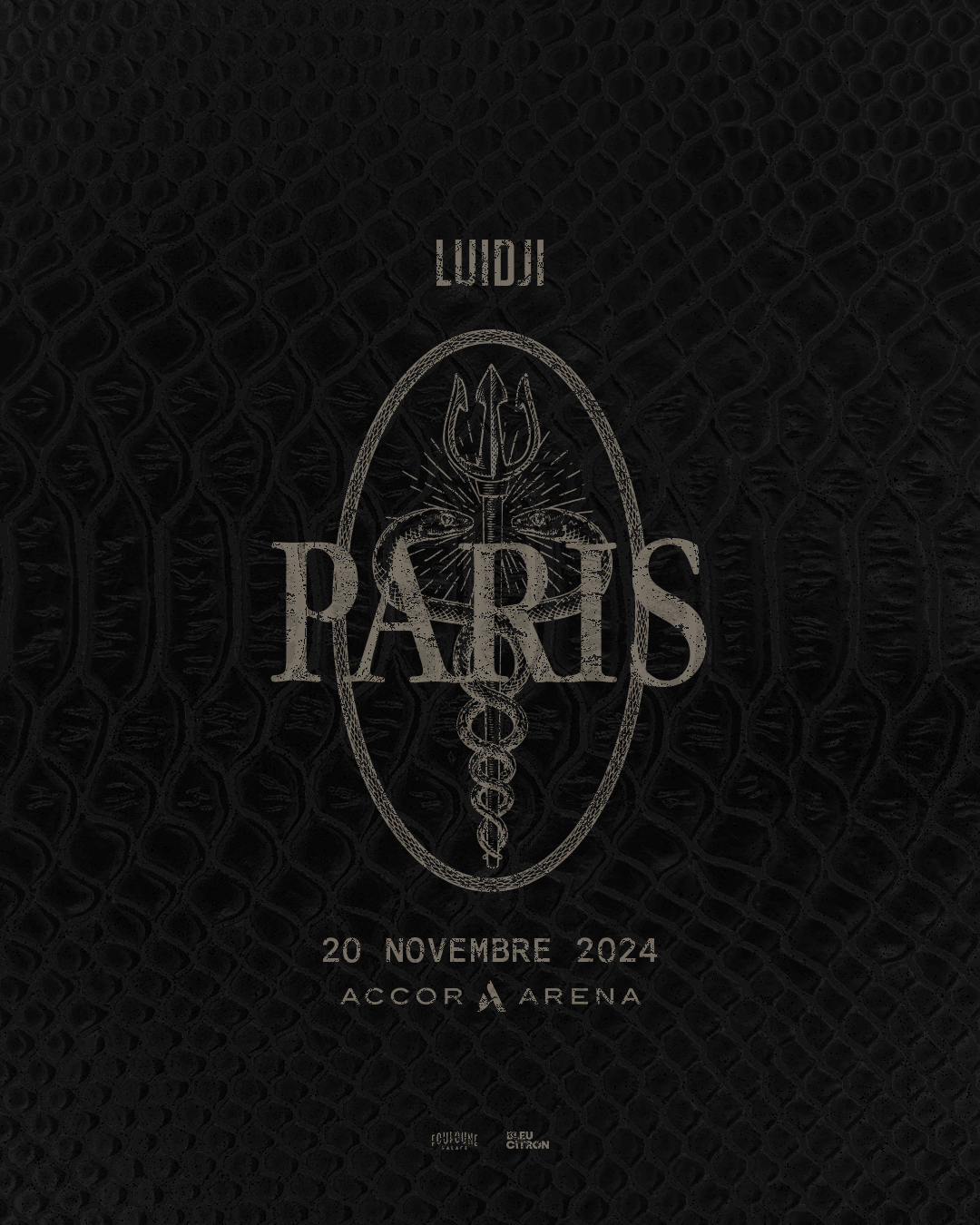 Affiche Tournée Luidji 2024