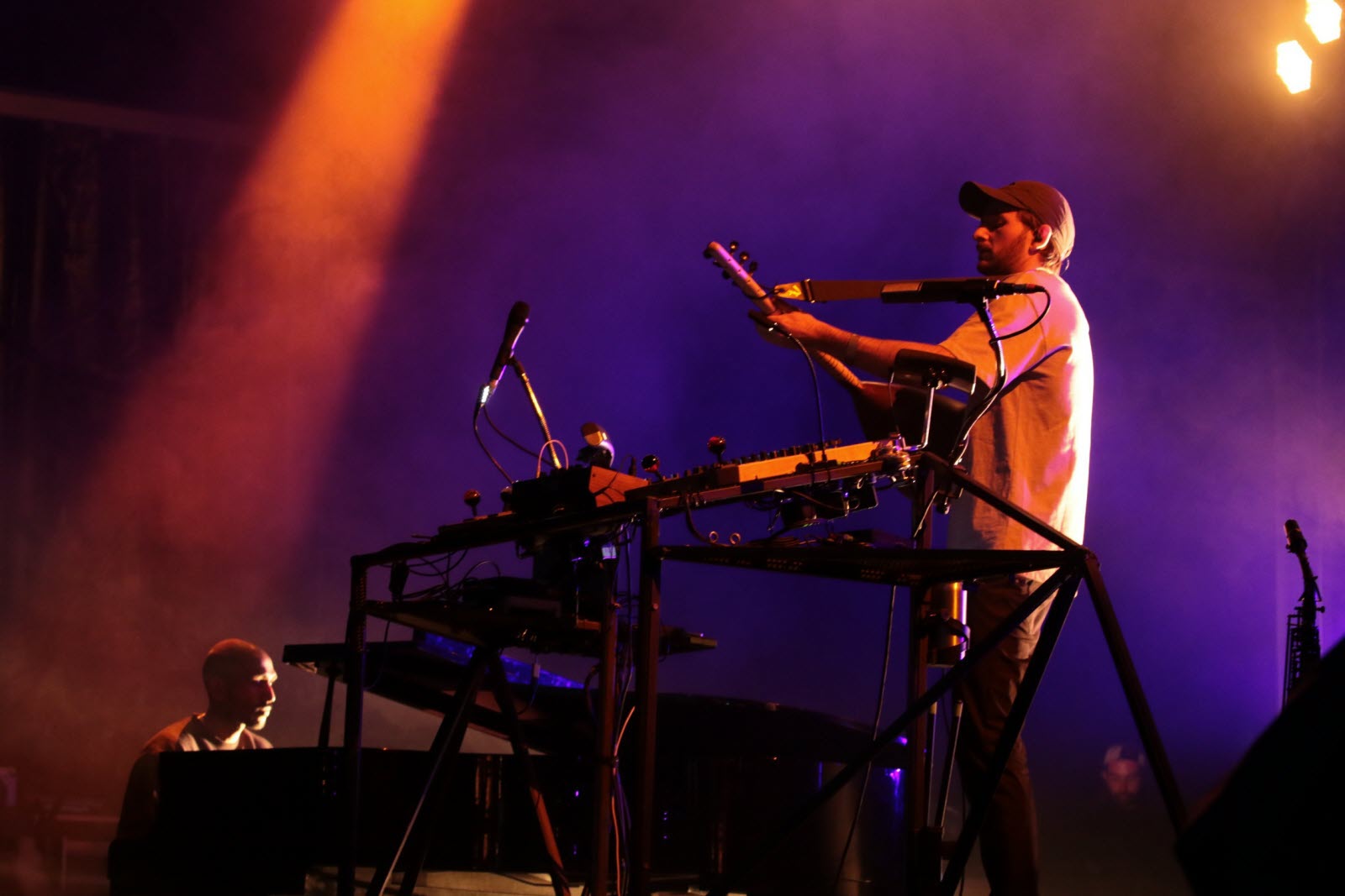 Thylacine concert live