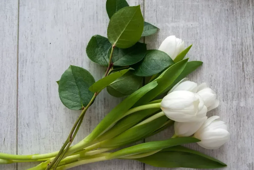 La signification cachée des fleurs de cerisier dans la musique contemporaine