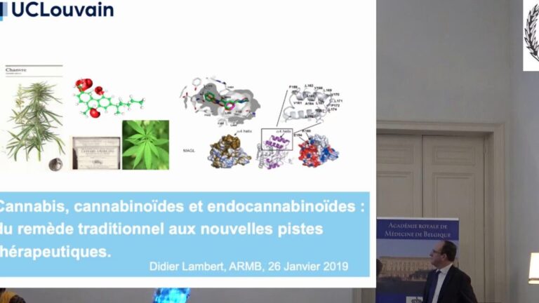 Qu’est-ce que l’hypermetabolisme et comment influence-t-il les musiciens ?